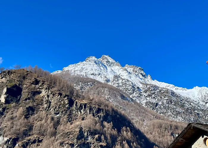 Il Nido Di Curlo