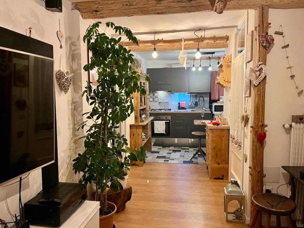 Apartment Il Nido Di Curlo Chiesa in Valmalenco
